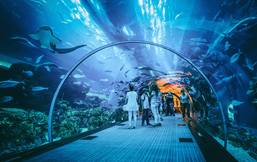 GA-places-img-07-aquaria-klcc